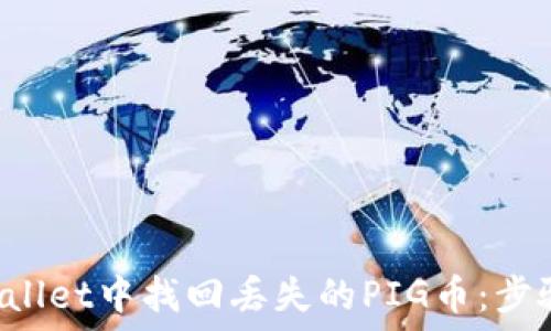   
如何在TP Wallet中找回丢失的PIG币：步骤与解决方案