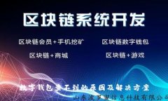 数字钱包查不到的原因及