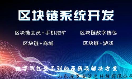 数字钱包查不到的原因及解决方案