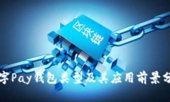 数字Pay钱包类型及其应用