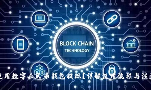 如何使用数字人民币钱包提现？详解使用流程与注意事项