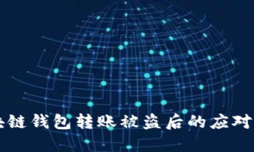 区块链钱包转账被盗后的应对指南