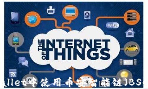 
如何在TPWallet中使用币安智能链（BSC）：全面指南