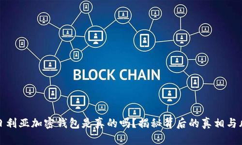 尼日利亚加密钱包是真的吗？揭秘背后的真相与风险