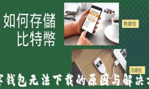 
数字钱包无法下载的原因与解决方案