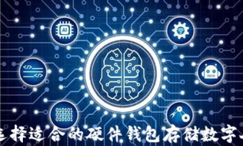 
如何选择适合的硬件钱包存储数字人民币