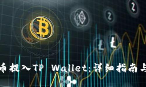 如何将法币提入TP Wallet：详细指南与实用技巧