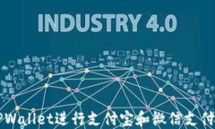 如何使用TPWallet进行支付宝