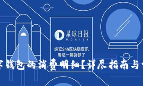 如何查询数字钱包的消费明细？详尽指南与常见问题解答
