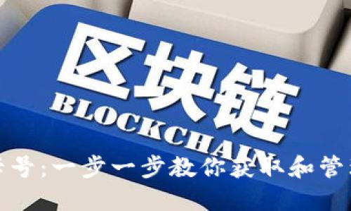 如何查看数字钱包卡号：一步一步教你获取和管理你的数字钱包信息