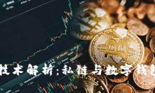 区块链技术解析：私链与数字钱包的未来