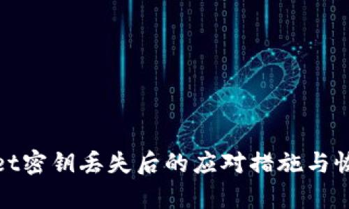 tpwallet密钥丢失后的应对措施与恢复方法