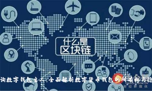 如何查询数字钱包主人：全面解析数字货币钱包的所有权与隐私问题