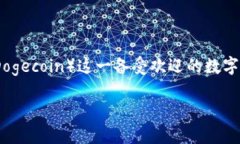 在这篇文章中，我们将深