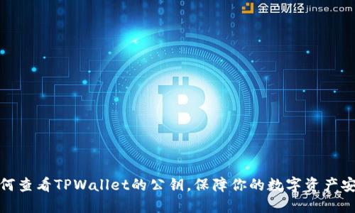 如何查看TPWallet的公钥，保障你的数字资产安全