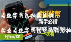 如何查看数字钱包抽奖活