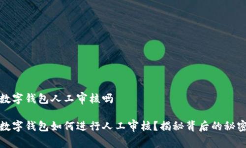 数字钱包人工审核吗

数字钱包如何进行人工审核？揭秘背后的秘密