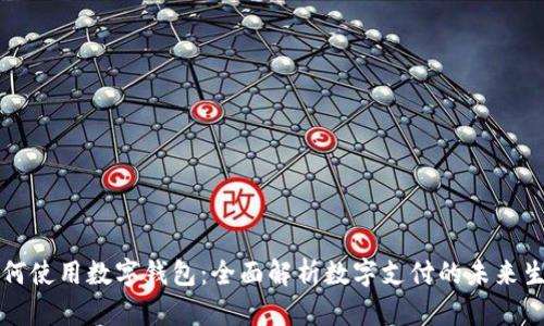 如何使用数字钱包：全面解析数字支付的未来生活