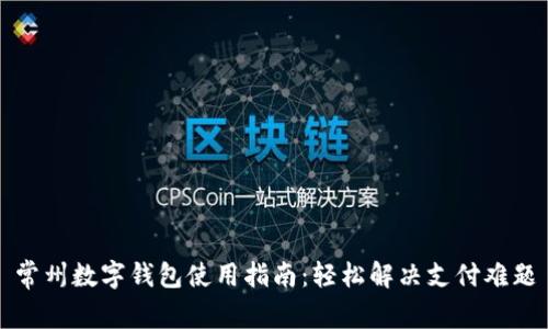常州数字钱包使用指南：轻松解决支付难题