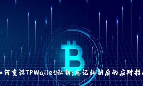 如何重设TPWallet私钥：忘记私钥后的应对指南