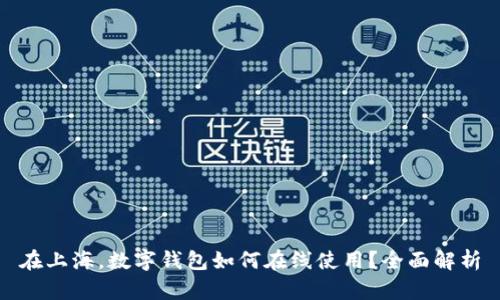 在上海，数字钱包如何在线使用？全面解析