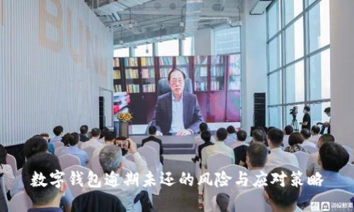 数字钱包逾期未还的风险与应对策略