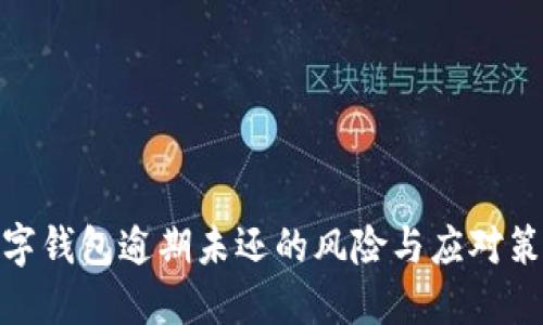 数字钱包逾期未还的风险与应对策略