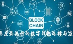 2023年度最流行的数字钱包