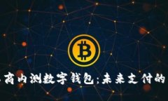 探索工商内测数字钱包：