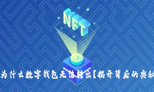 为什么数字钱包无法转出？揭开背后的奥秘