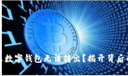 为什么数字钱包无法转出？揭开背后的奥秘