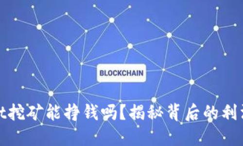 TPWallet挖矿能挣钱吗？揭秘背后的利润与风险