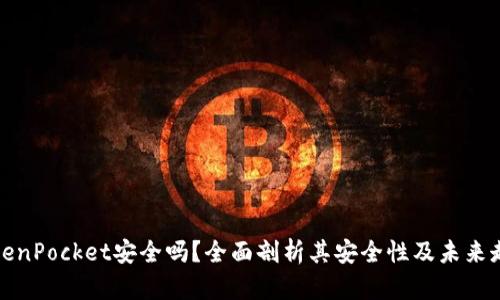 TokenPocket安全吗？全面剖析其安全性及未来走向