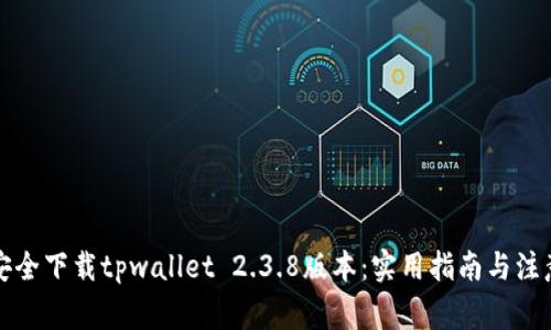 如何安全下载tpwallet 2.3.8版本：实用指南与注意事项