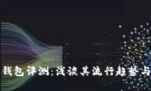 印尼数字钱包评测：浅谈其流行趋势与用户体验