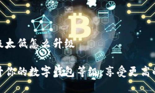 数字钱包等级太低怎么升级

如何快速提升你的数字钱包等级，享受更高的安全与便利