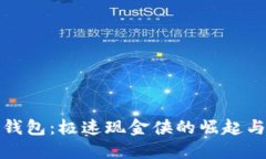 数字钱包：极速现金侠的