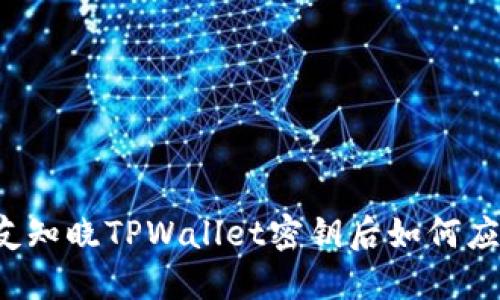 朋友知晓TPWallet密钥后如何应对？