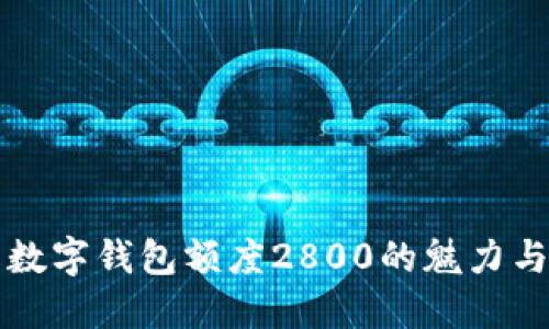 深入了解数字钱包额度2800的魅力与使用技巧