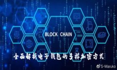 全面解析电子钱包的多样