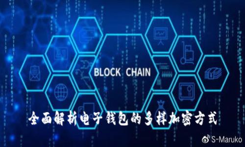 全面解析电子钱包的多样加密方式