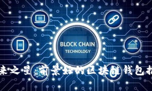 未来之星：前景好的区块链钱包推荐