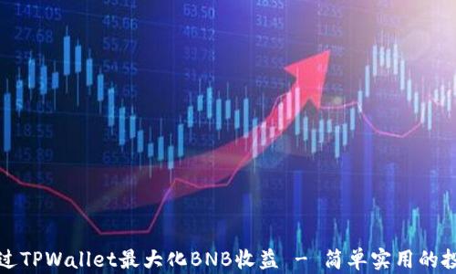 
如何通过TPWallet最大化BNB收益 - 简单实用的投资指南