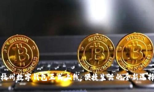 杭州数字钱包正式上线：便捷生活的全新选择