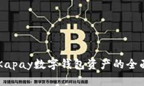 关于Kapay数字钱包资产的全面解析