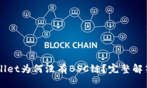 电脑版TPWallet为何没有BSC链？完整解答与解决方案