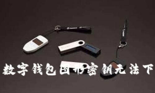 如何解决数字钱包图形密钥无法下载的问题