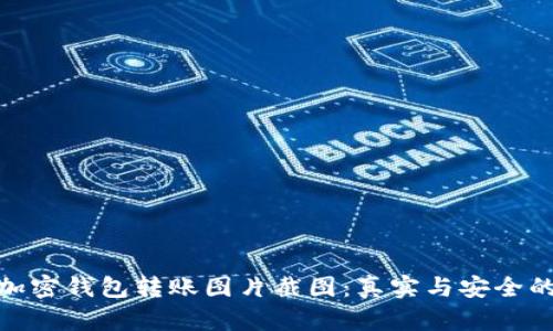 biasheti加密钱包转账图片截图：真实与安全的双重考量