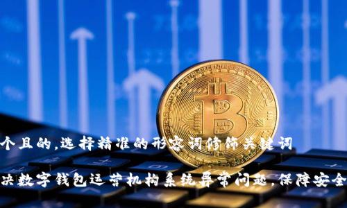 思考一个且的，选择精准的形容词修饰关键词

如何解决数字钱包运营机构系统异常问题，保障安全与便捷