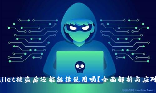 tpwallet被盗后还能继续使用吗？全面解析与应对策略
